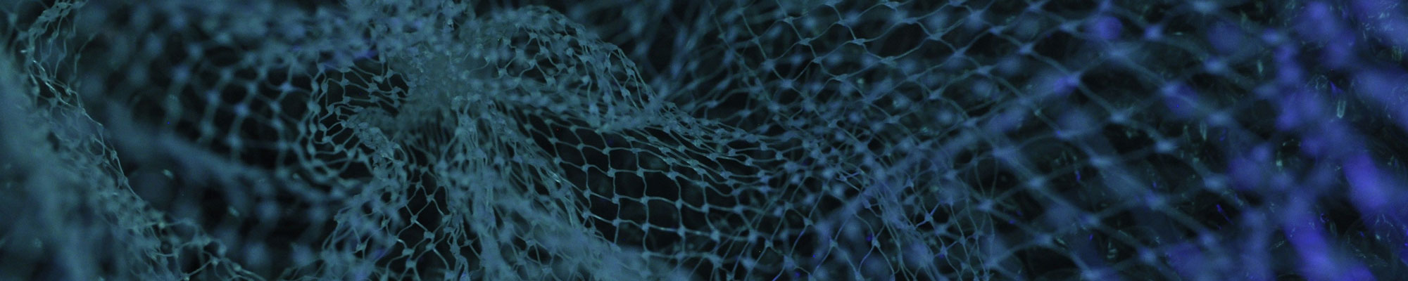 transformación digital Transformación digital